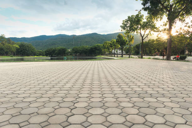Best Concrete Paver Driveway  in Burney, CA
